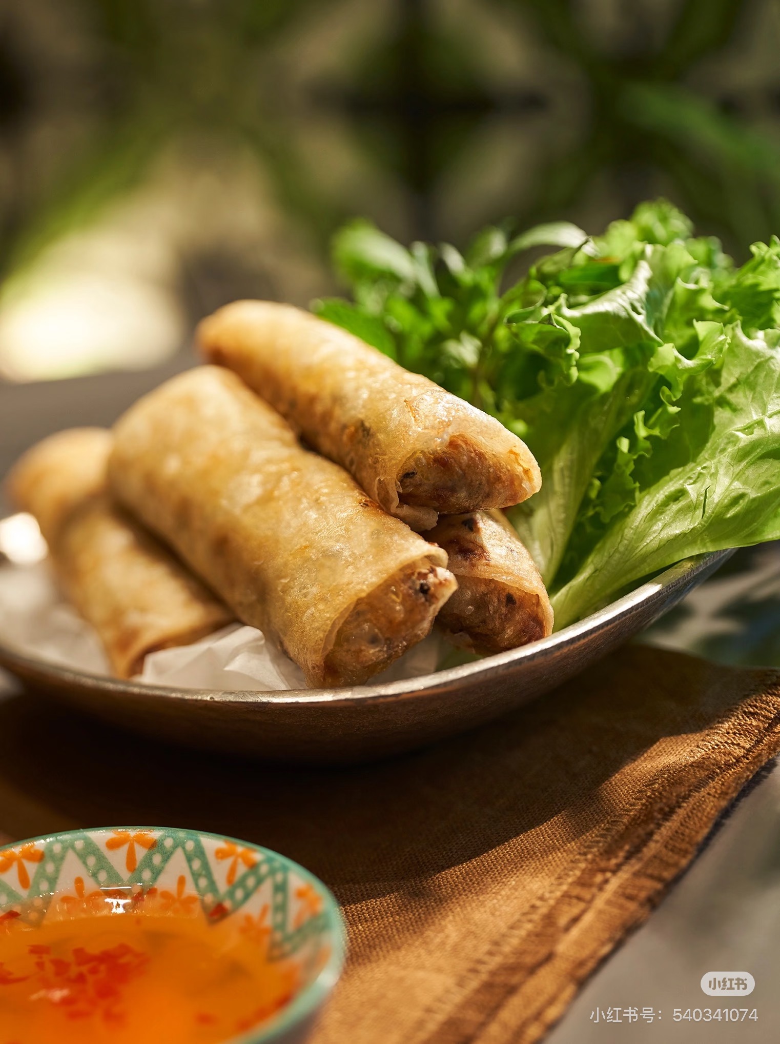 Rouleaux de printemps au poulet